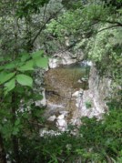 Au dessus du ruisseau